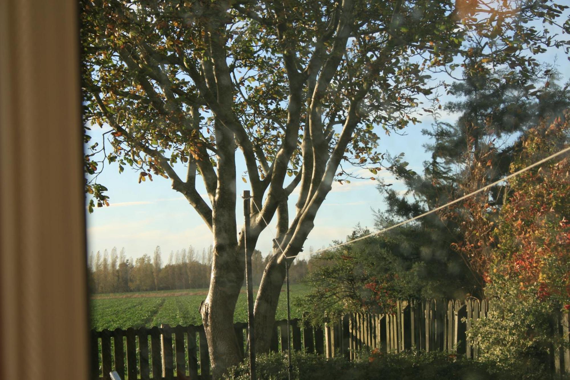 Simla Bungalow, Tetney Exterior foto